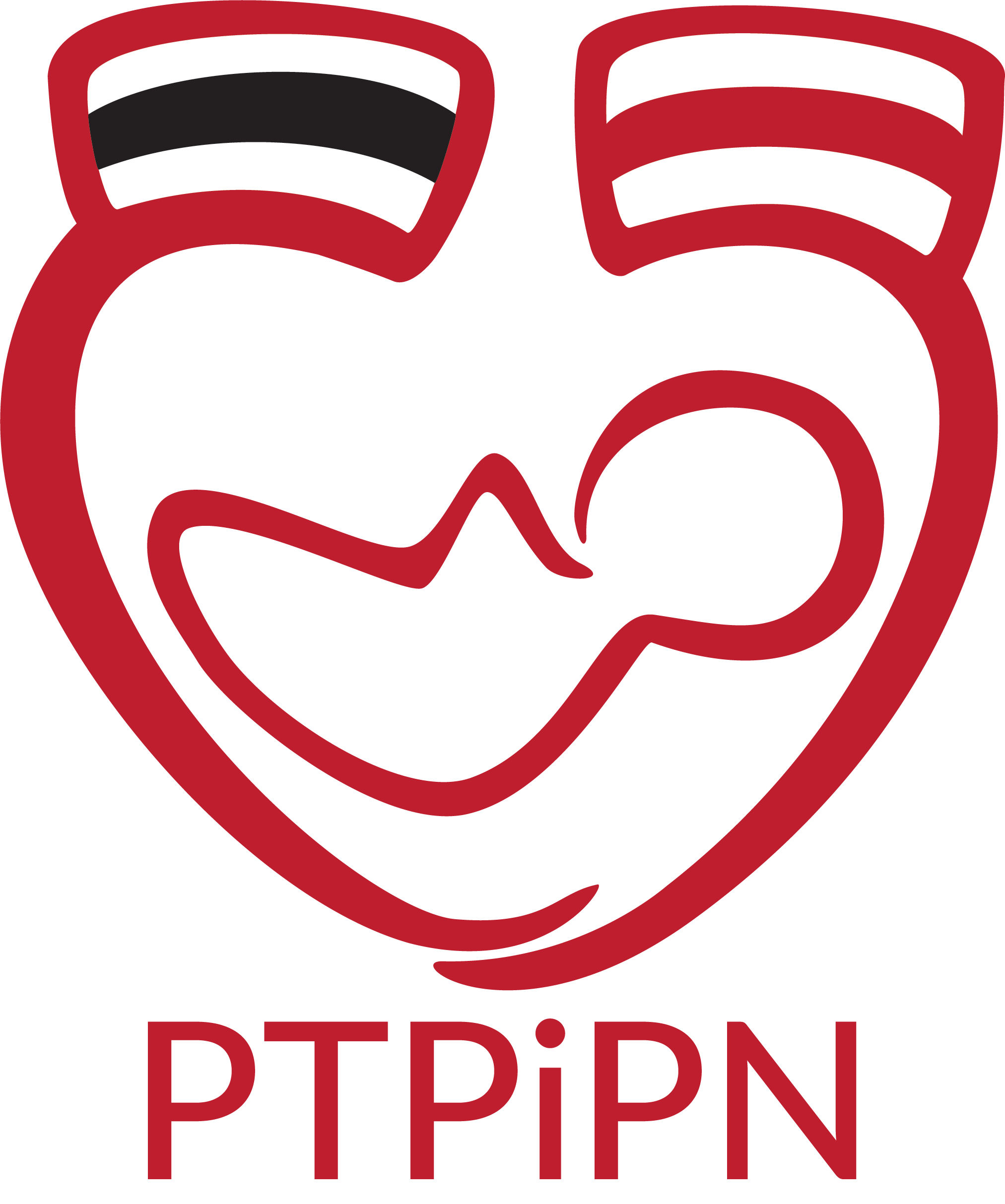 cropped-logotyp_ptpipn_czerwony.png
