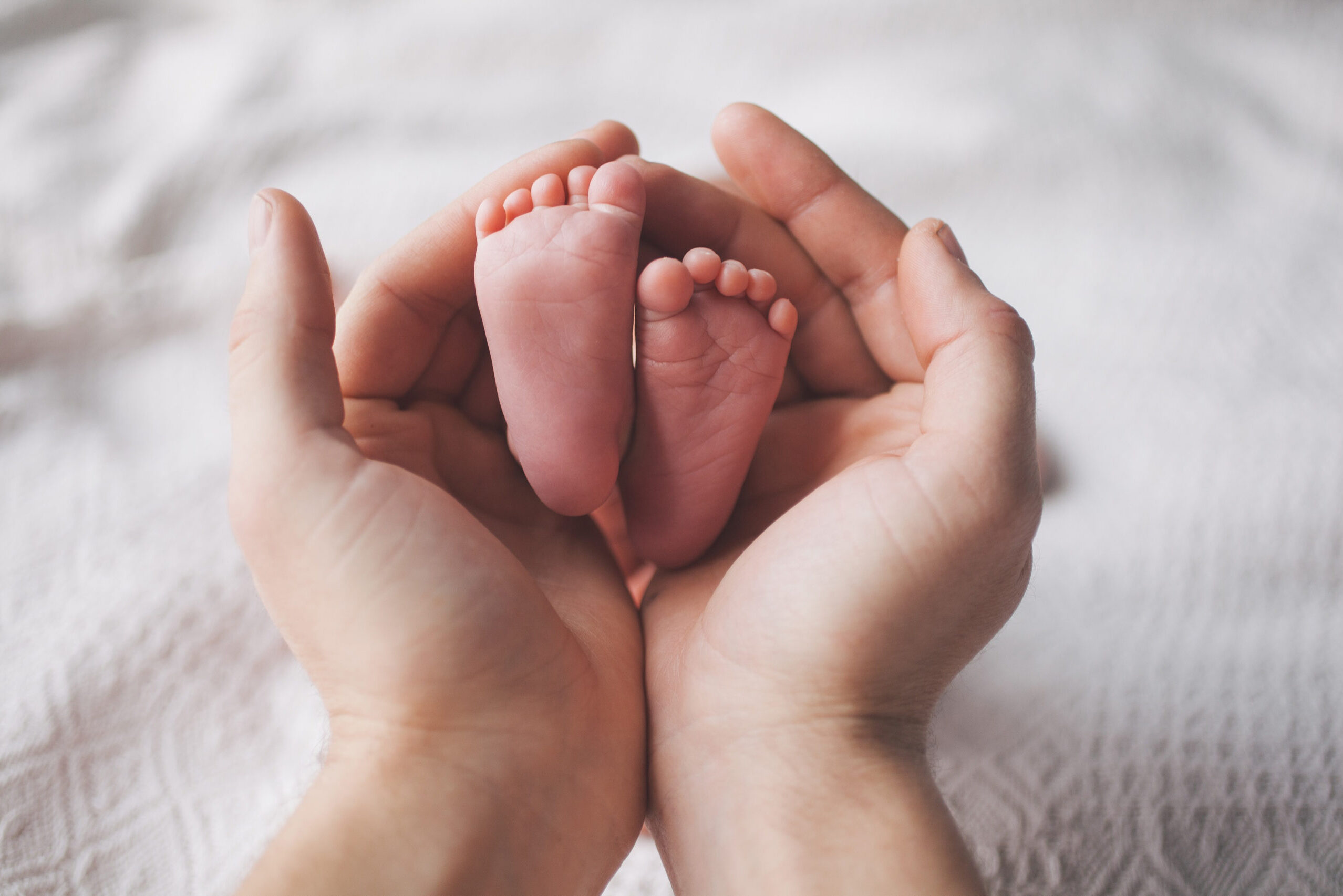 cropped-shutterstock_523810459-2-scaled-5.jpg